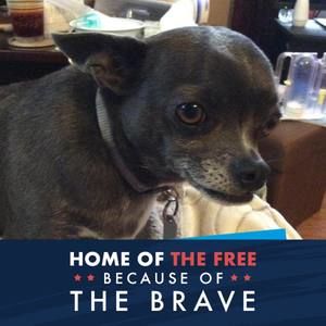 Meet your Posher, Wadene